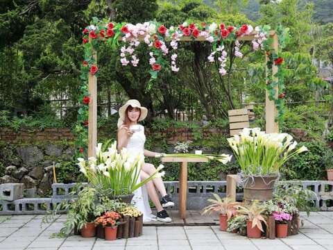 2021竹子湖カラー祭り ロマンチックな地景芸術