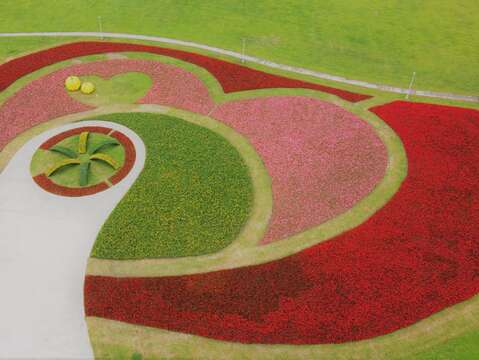 中正河浜 8万株が彩る花畑