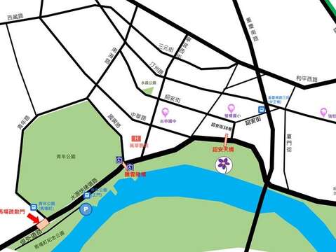 中正河浜 8万株が彩る花畑