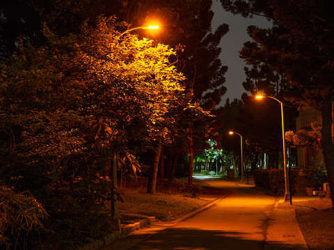 Special Light Hoods Installed at Parks to Help Fireflies