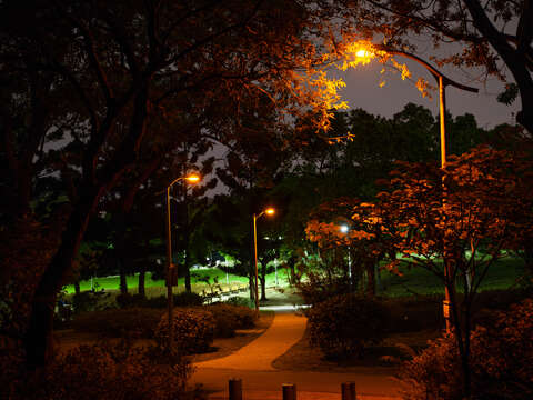 Special Light Hoods Installed at Parks to Help Fireflies