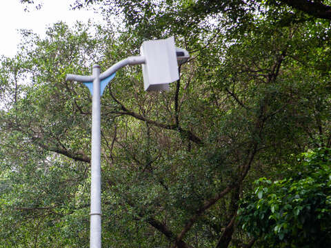 Special Light Hoods Installed at Parks to Help Fireflies