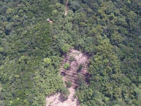為推動108年起的4年計畫，大地處在107年(左圖)先行小區域疏伐試驗，對比109年(右圖)的結果，裸露地目前綠覆蓋幾乎已達100%。