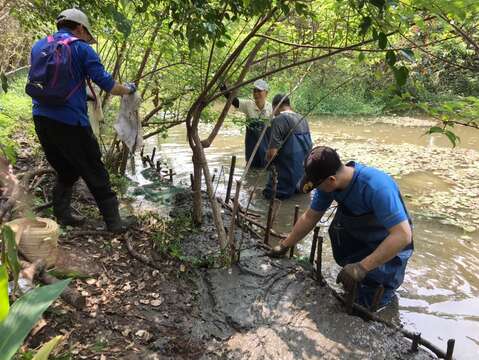 螢火蟲季來臨前夕，榮星花園公園志工團隊進行本月工作日，清淤泥及清外來種。