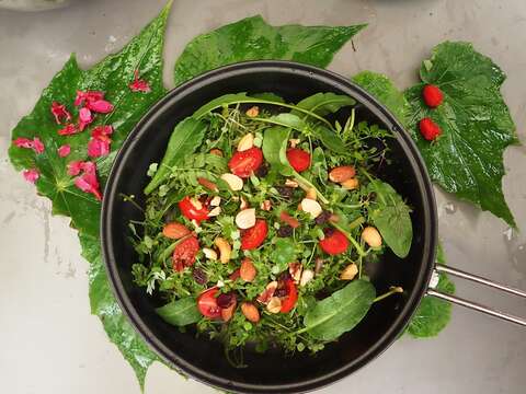 關渡好時節-野地滋味-尋訪可食野菜