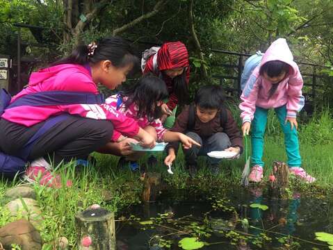 小學生於關渡自然公園戶外教學