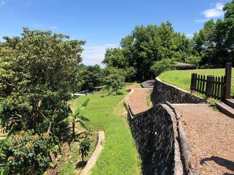 樟樹步道-坡道