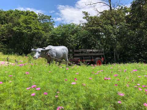 樟樹步道-動物裝置藝術