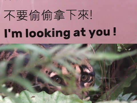 戴口罩請遮住口鼻，不要偷偷拿下來！I am looking at you !