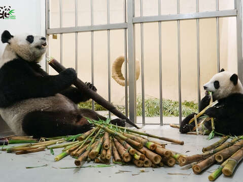 「圓寶」和媽媽學習怎麼挑選美味又營養的食物