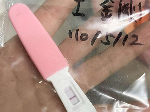 保育員持續監測雌性個體是否有懷孕（陳易瑩攝）