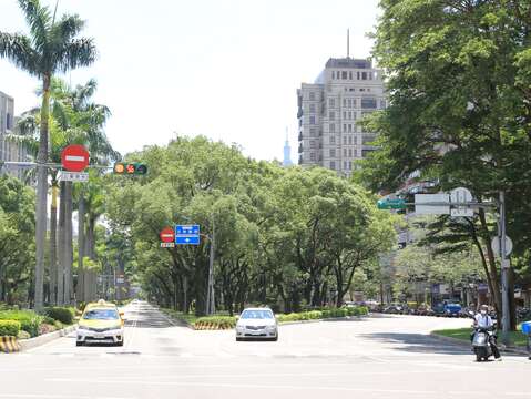 仁愛建國南路口，原生種樟樹生長茂盛，綠蔭成林