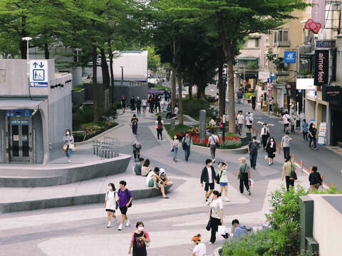 The greenery in Xinzhongshan Linear Park brings a leisurely and comfortable vibe to life in Zhongshan.