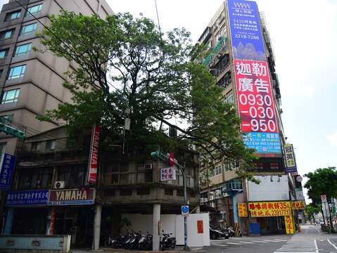 在南門市場對側，羅斯福路與林森南路口有著「樹屋共生」的特別景觀。