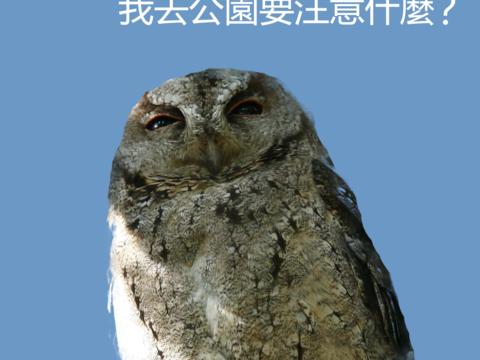 園區公告-我去公園要注意甚麼