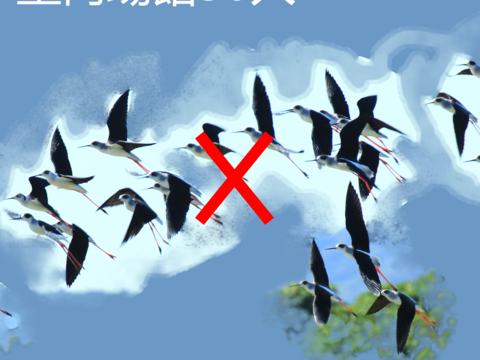 園區公告-容留人數限制