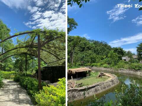 Taipei Zoo to Reopen August 1