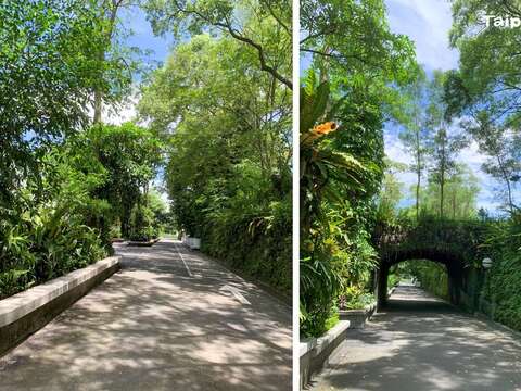 Taipei Zoo to Reopen August 1