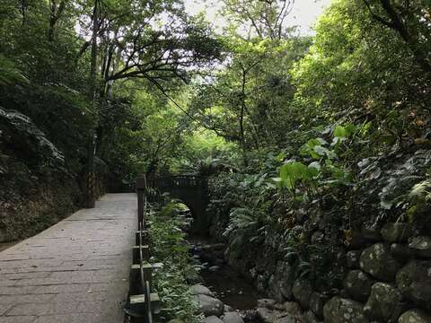 生態工法整治的虎山溪，砌石河床提供魚蝦自然的生存繁衍空間