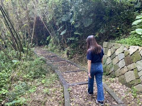 漫步於山林步道,感受最原始的自然風光