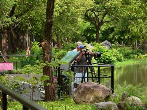 大安森林公園で野鳥と風景を眺める