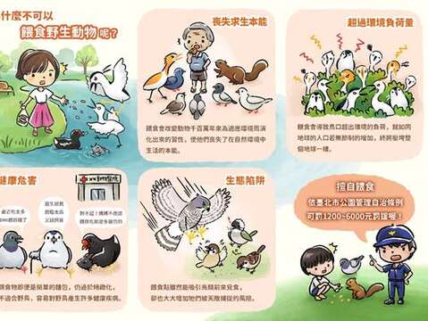 大安森林公園で野鳥と風景を眺める
