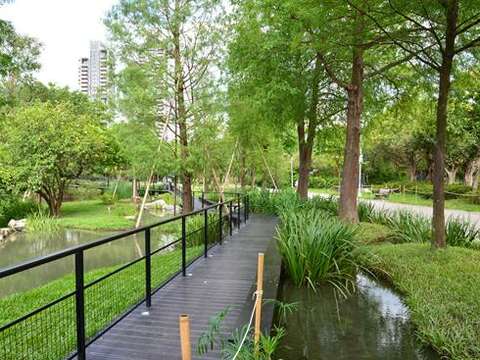 大安森林公園で野鳥と風景を眺める