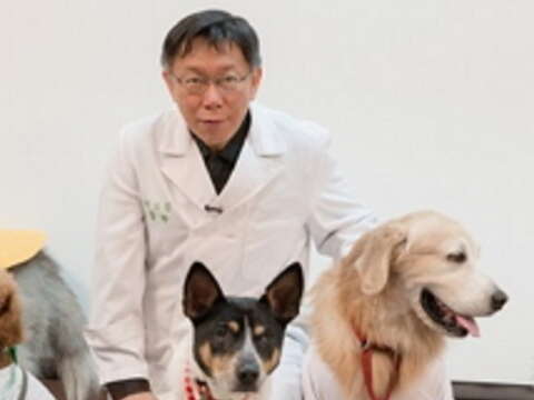 City Embarks on ‘Dog Doctors’ Training Program