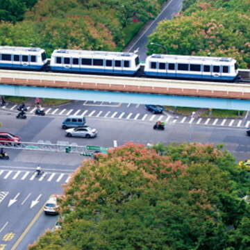 The Unique Beauty of the Taipei Metro