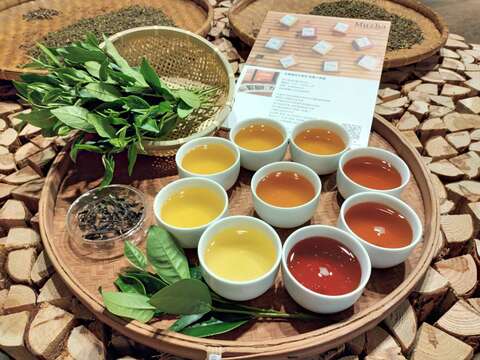 木柵小茶罐多樣風味茶湯