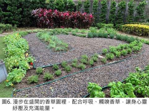 歷史．文学．ハーブ．美食の半日旅