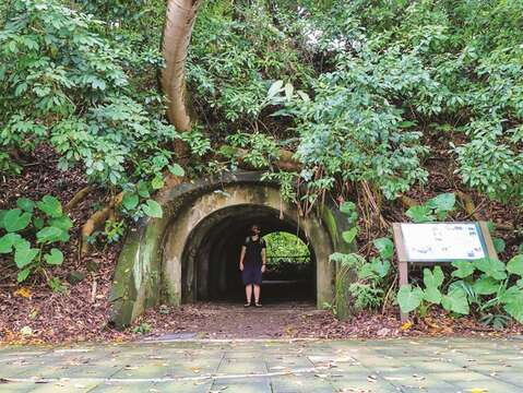 Military infrastructure such as this old culvert can still be spotted in Fuyang Eco Park.