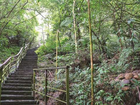 Following the greenery uphill along the Tiaomi Historic Trail invites a peaceful moment into one’s busy life.