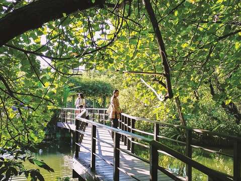 植物園内の桟道は緑が木陰を作っているので、散歩をしながら涼むことができます。(写真/Yenping Yang)