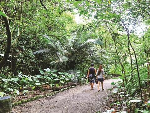 富陽自然生態公園の中を歩くと原始時代のジャングルの様子が思い浮かびます。