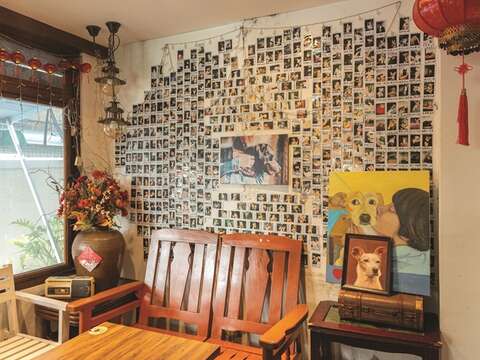 Photos on the wall are all stray animals that found their forever home at Lang Lang Don't Cry.