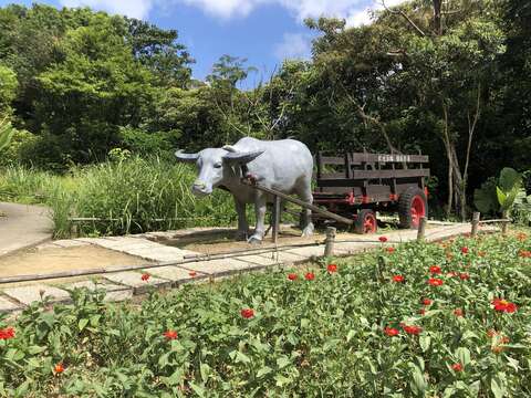 農村設施意象及百日草