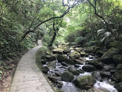 大溝溪上游保留自然溪谷溪床上可見大小石頭十分自然