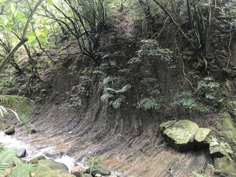 河道的內側山壁褶皺地質景觀