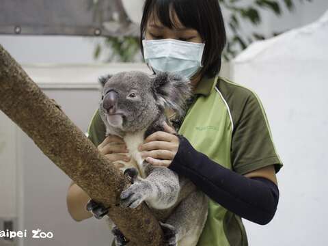 動物体重測定の秘密を大公開