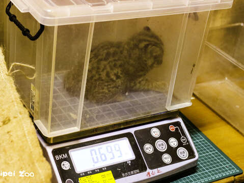 動物体重測定の秘密を大公開