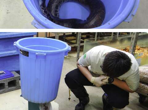 動物体重測定の秘密を大公開