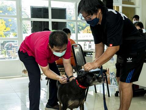 APO Organizes 2021 Taipei Animal Protection Month