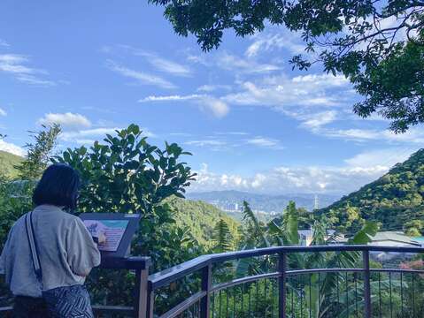 夫妻樹平台,遠眺周邊山景