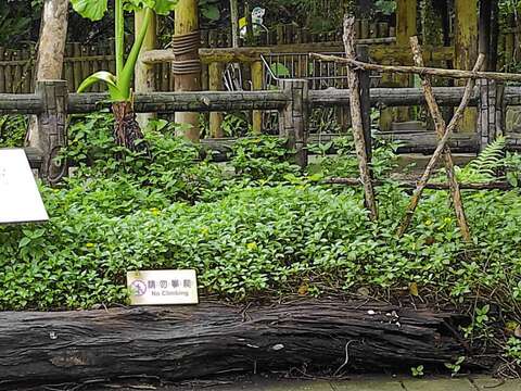 花臺間距是為了保護動物和遊客的安全，請不要任意跨越！