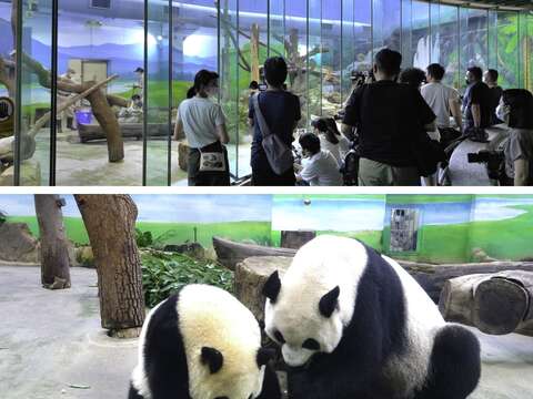 拍攝動物時請勿使用閃光燈