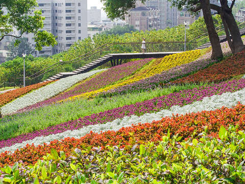 三層崎花海