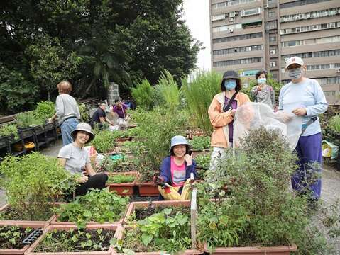 臺北客家農場-斜綠屋頂