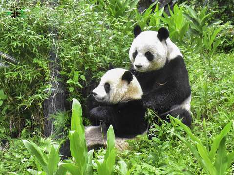 天高雲淡，擁有舒適溫度的涼爽秋冬，非常適合大小朋友到動物園來趟小旅行，拜訪動物朋友們