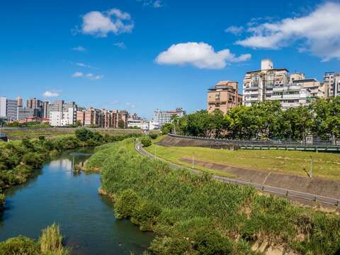 景美河濱公園自行車道沿線滿眼綠意